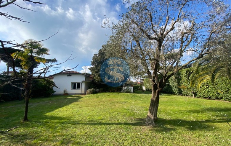 Villa singola in vendita a Pietrasanta