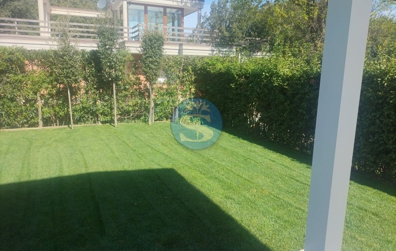 Villa singola in vendita a Pietrasanta