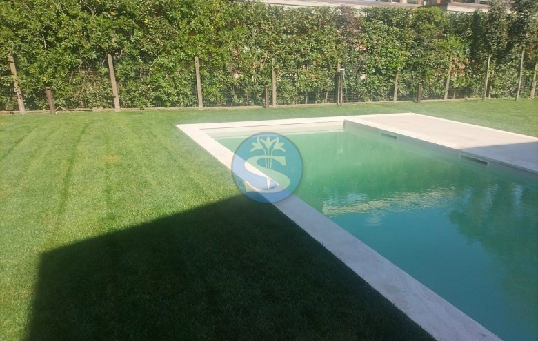 Villa singola in vendita a Pietrasanta