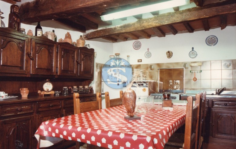 Rustico in vendita a Camaiore