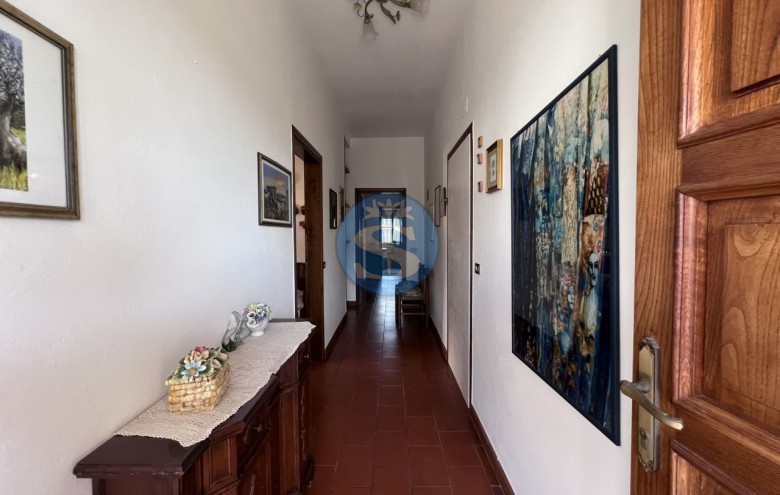 Villa singola in vendita a Pietrasanta