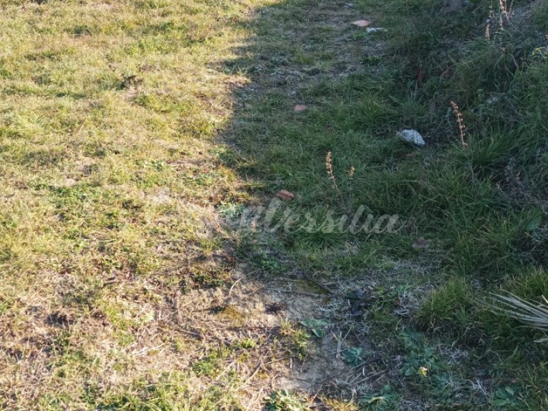 Rustico in vendita a Camaiore