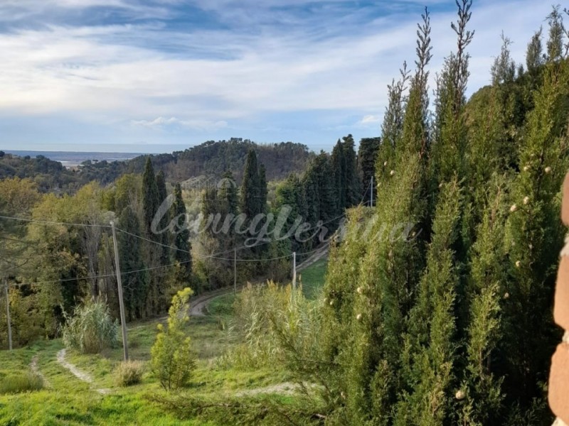 Rustico in vendita a Camaiore