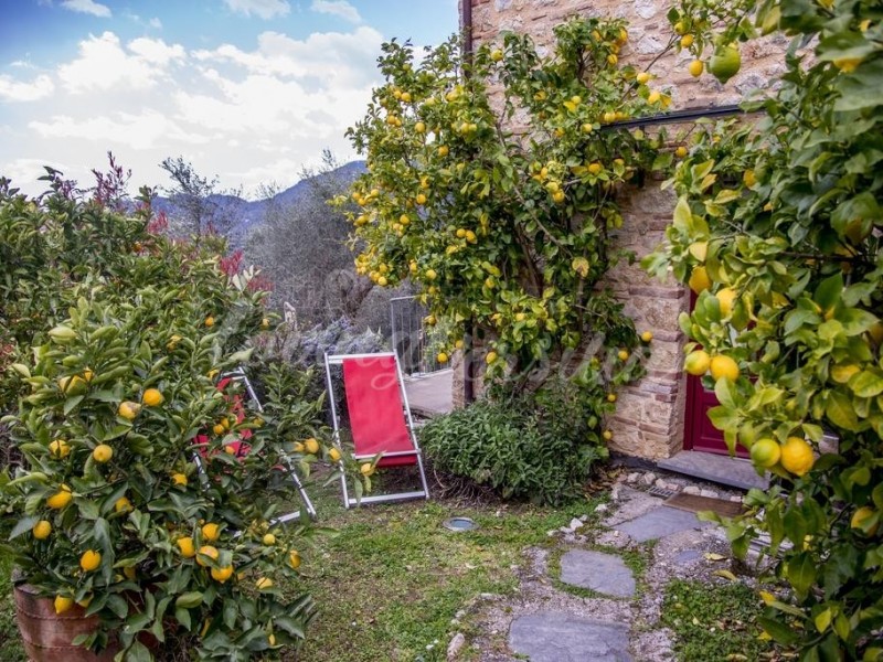 Rustico in vendita a Camaiore