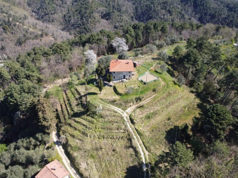 Villa singola in vendita a Camaiore