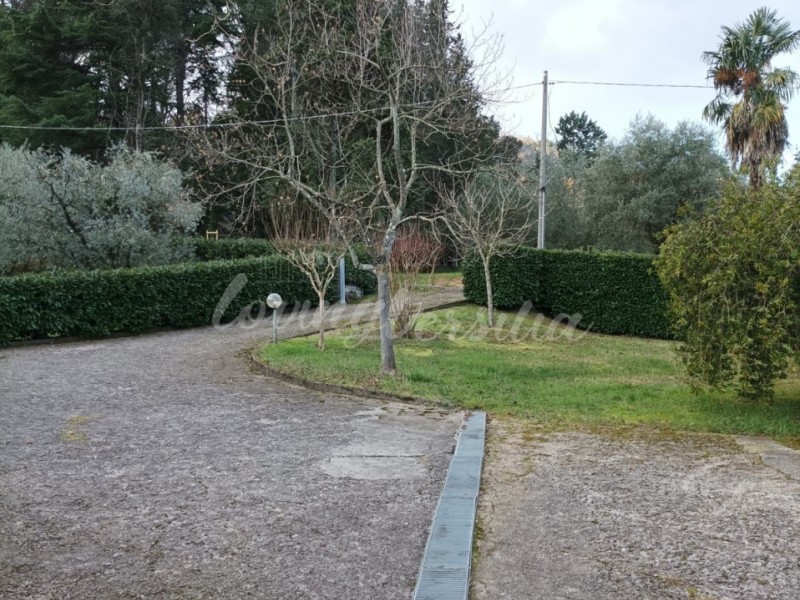 Villa singola in vendita a Camaiore