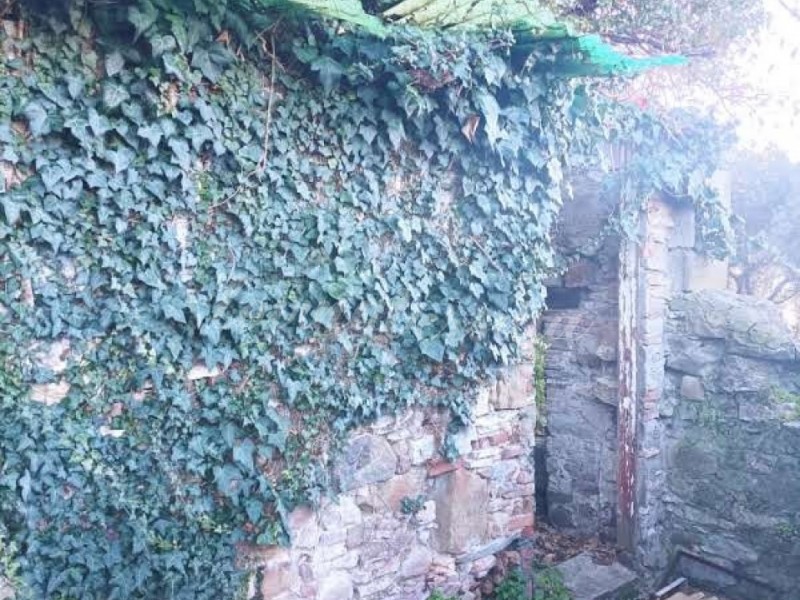 Rustico in vendita a Massarosa