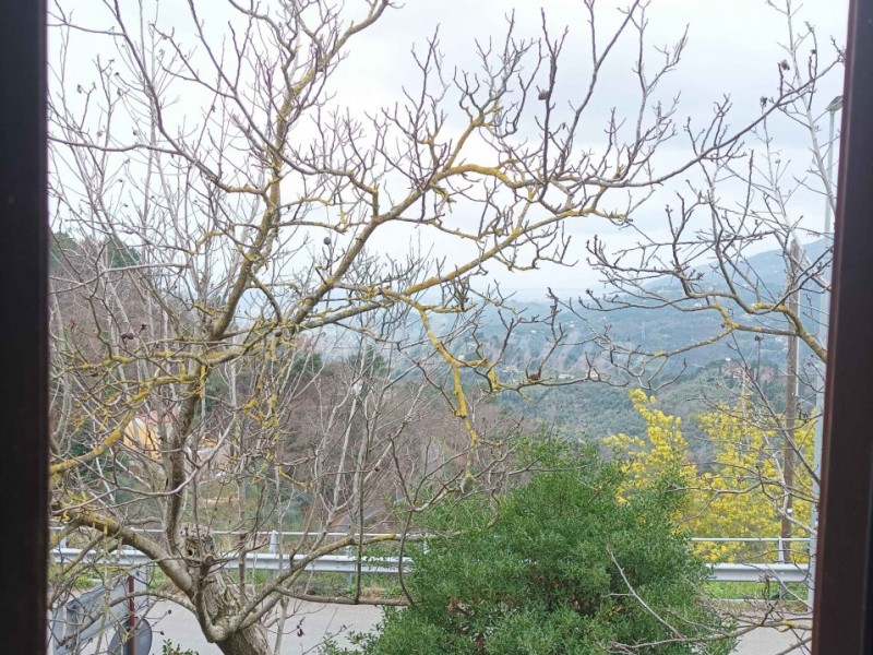 Terratetto in vendita a Camaiore