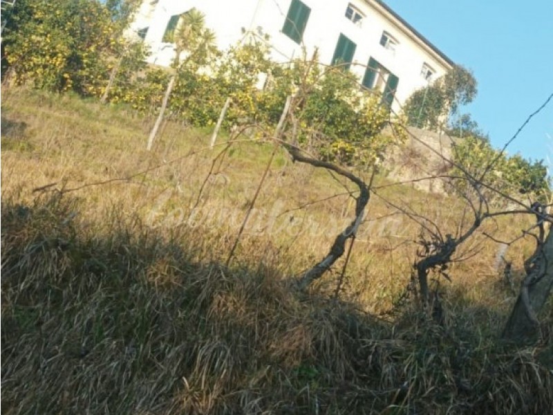 Villa singola in vendita a Camaiore