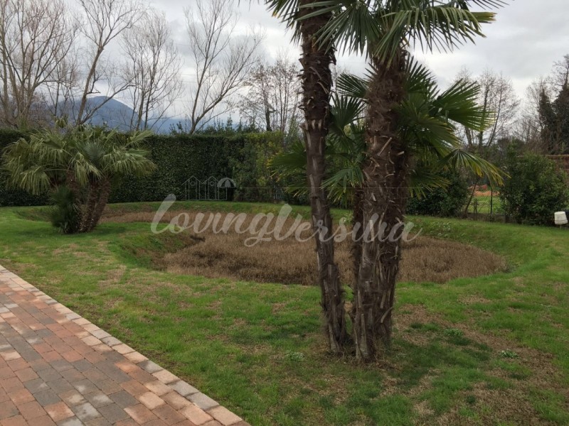 Villa singola in vendita a Pietrasanta