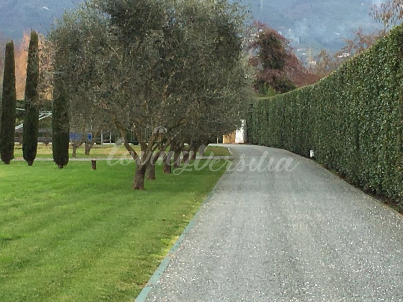Villa singola in vendita a Pietrasanta