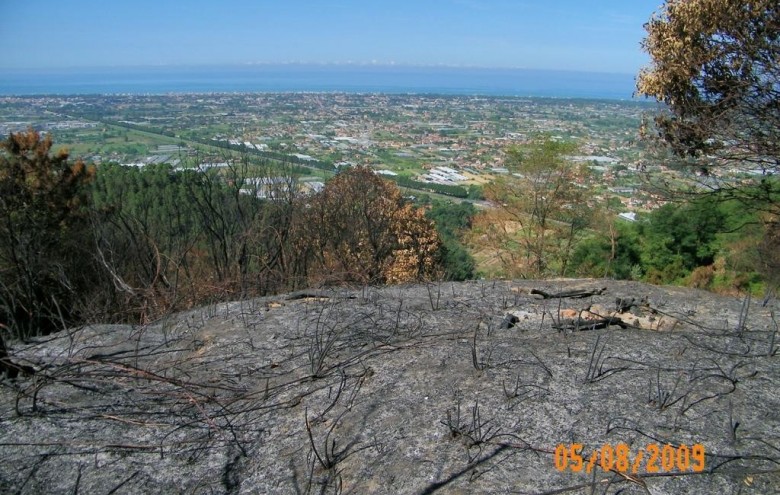 Rustico in vendita a Camaiore