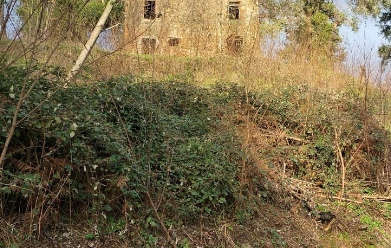 Rustico in vendita a Camaiore