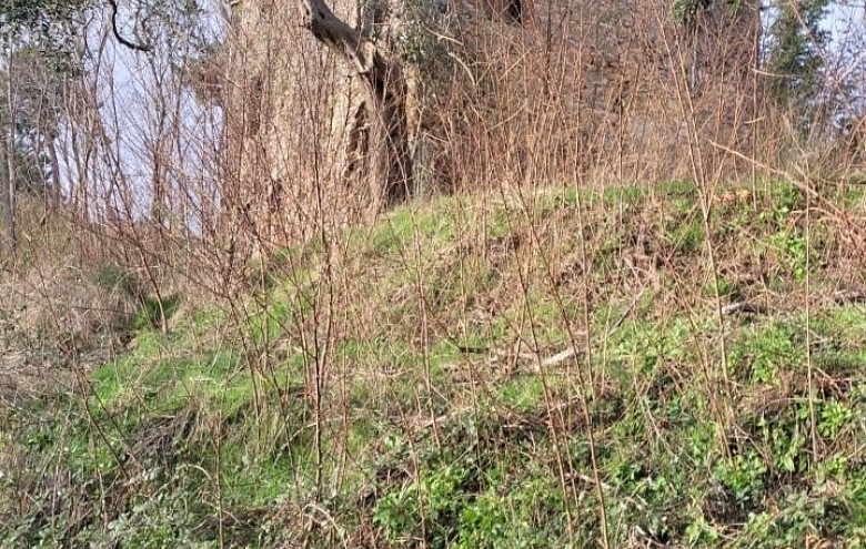 Rustico in vendita a Camaiore