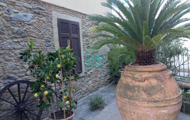 Bifamiliare in vendita a Massarosa