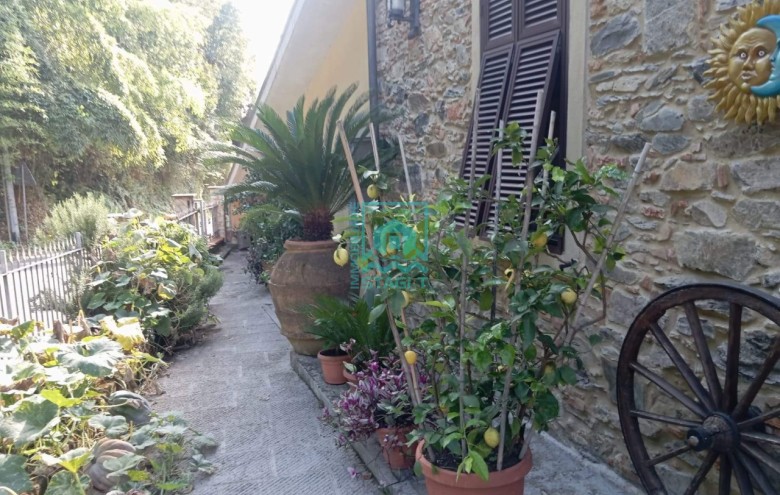 Bifamiliare in vendita a Massarosa