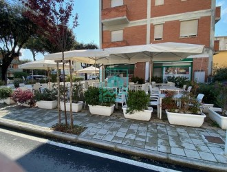 Attività Commerciale in vendita a Lido di Camaiore