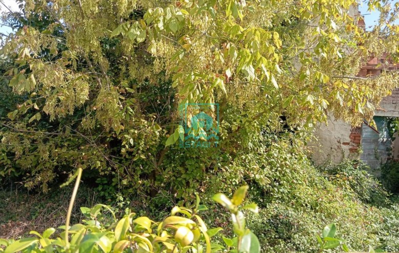 Rustico in vendita a Camaiore