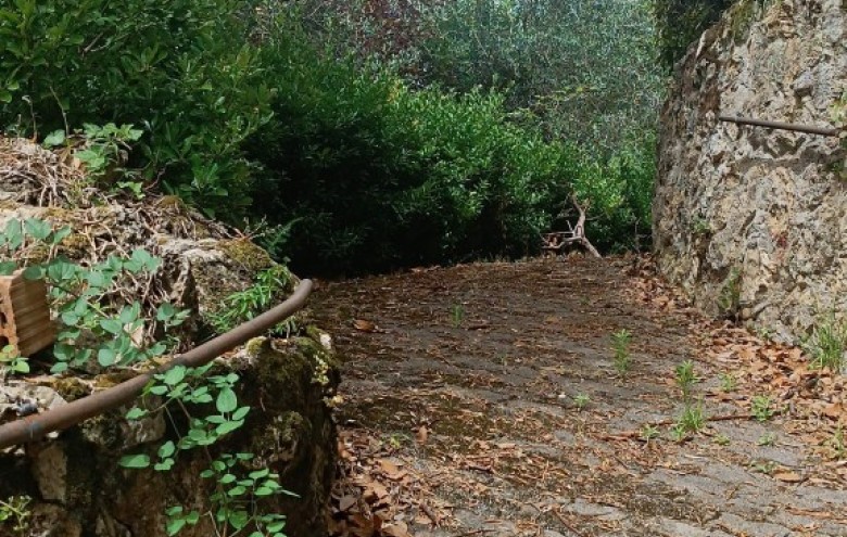 Rustico in vendita a Camaiore