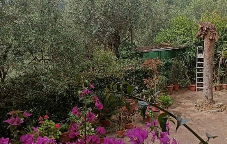 Rustico in vendita a Camaiore