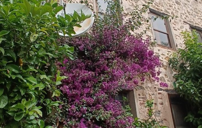 Rustico in vendita a Camaiore