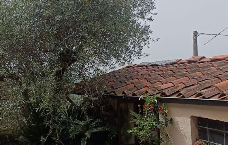 Rustico in vendita a Camaiore