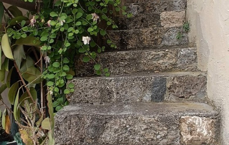 Rustico in vendita a Camaiore