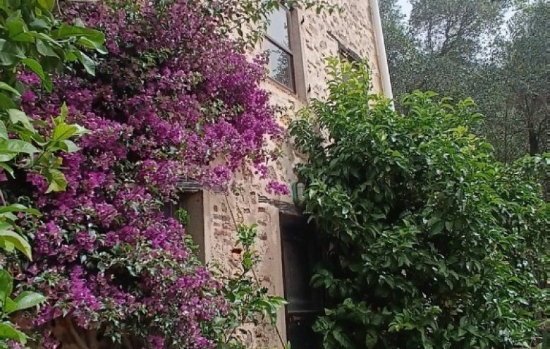 Rustico in vendita a Camaiore