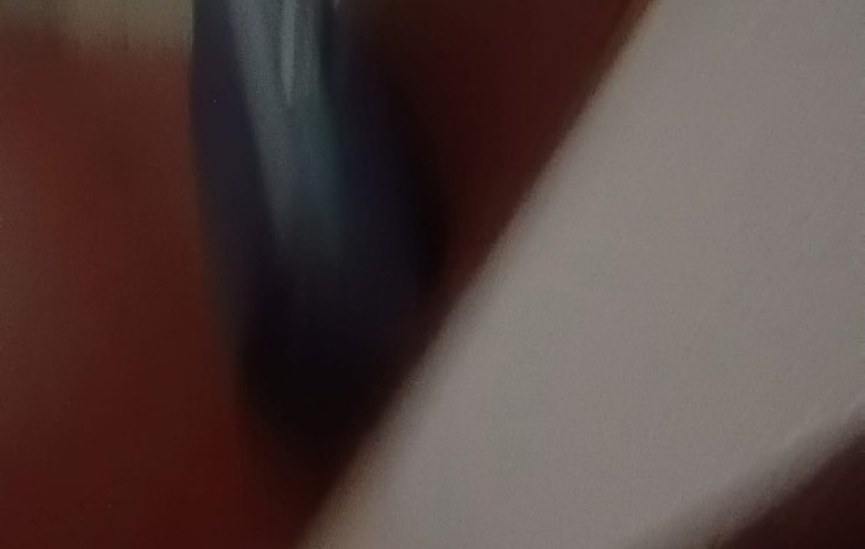 Rustico in vendita a Camaiore