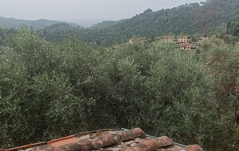 Rustico in vendita a Camaiore