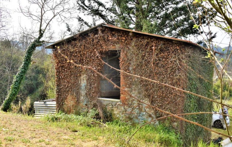 Rustico in vendita a Camaiore