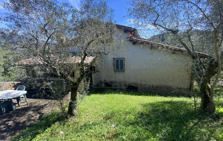 Rustico in vendita a Camaiore