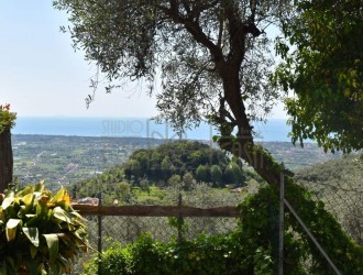 Terratetto in vendita a Capezzano Monte