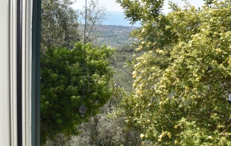 Terratetto in vendita a Pietrasanta