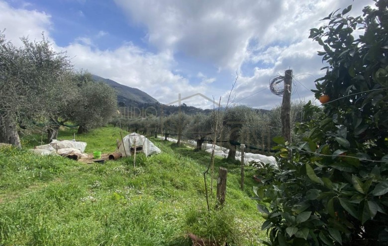 Rustico in vendita a Camaiore