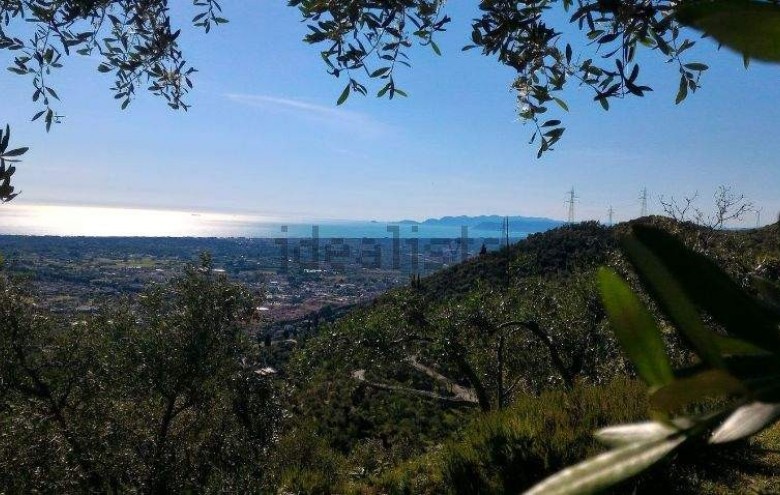 Rustico in vendita a Pietrasanta