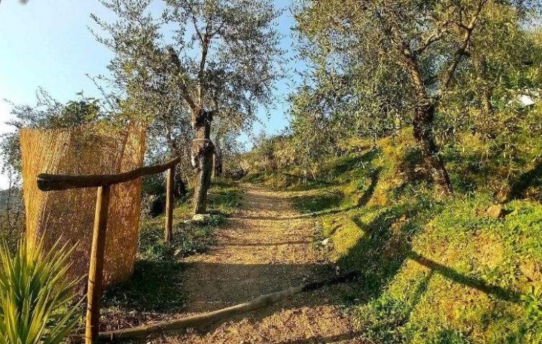 Rustico in vendita a Pietrasanta