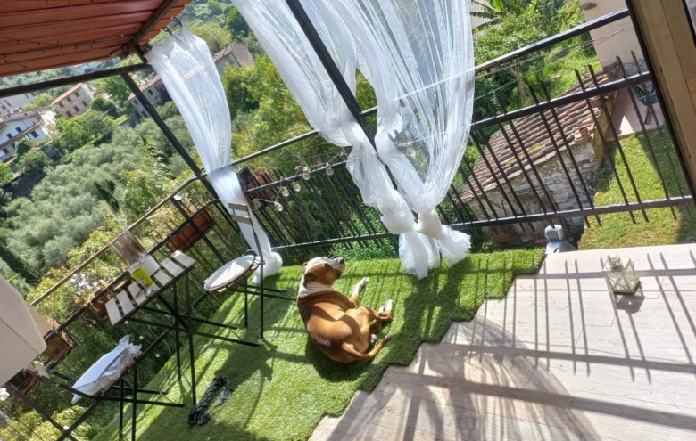 Appartamento in vendita a Pietrasanta