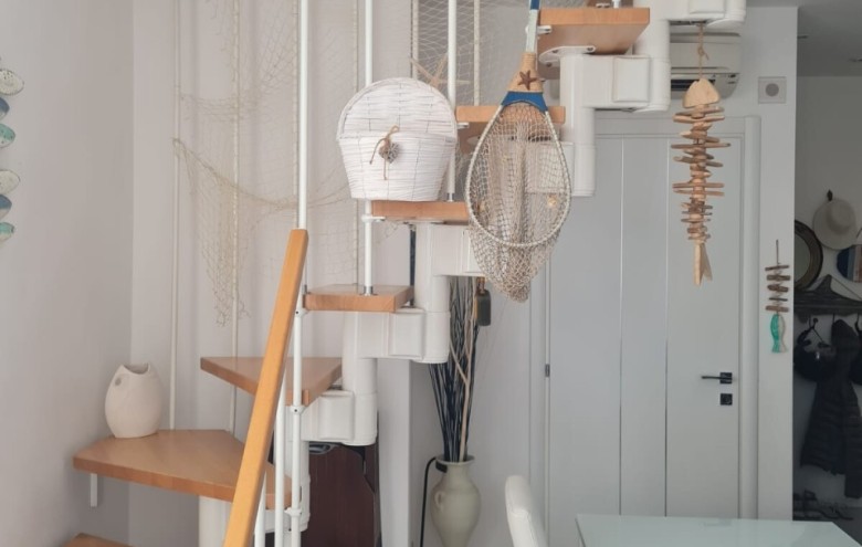 Appartamento in affitto a Viareggio