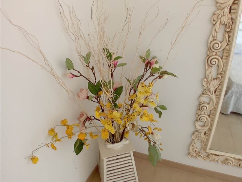 planimetria - Villa singola in vendita a Pietrasanta