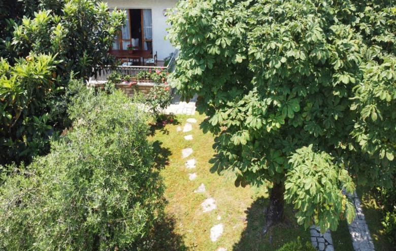 Bifamiliare in affitto a Forte dei Marmi