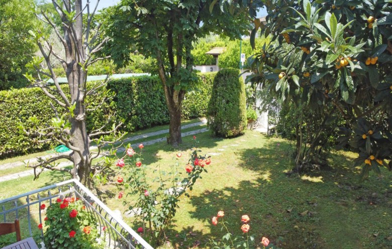 Bifamiliare in affitto a Forte dei Marmi