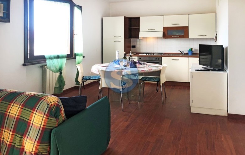 Appartamento in affitto a Pietrasanta